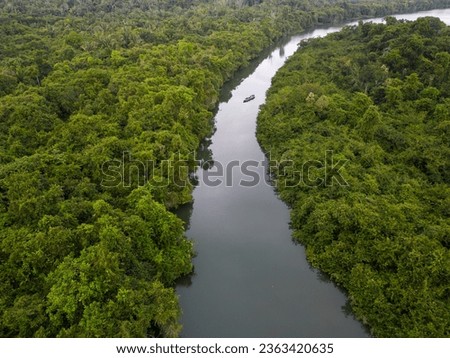 Beautiful aerial view to green amazon rainforest Igarapé near Juruena