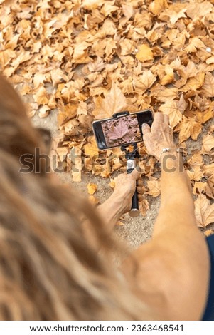 Woman using her mobile phone with tripod while taking photos of the autumn leaves outdoors in nature.