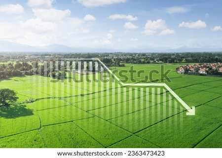 Land, landscape or green field in aerial view. Include bar chart or graph, drop down arrow. Real estate or property with concept for sale price, land value to decrease, reduction or negative trend.