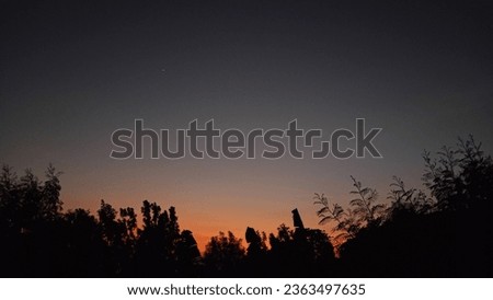 sunset with silhouettes of trees from the top of the mountain