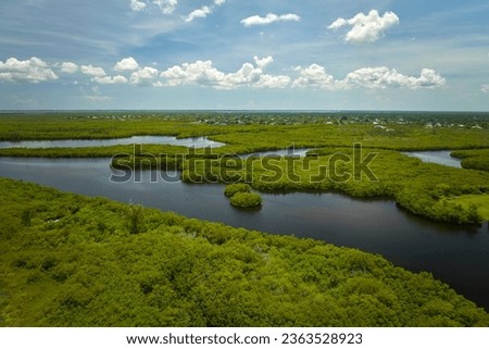 Aerial view of Florida wetlands with green vegetation between ocean water inlets. Natural habitat of many tropical species Royalty-Free Stock Photo #2363528923