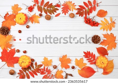 Frame with maple leaves, pine cones, nuts, pumpkins and rowan berries, autumn abstract composition, Thanksgiving concepts, seasonal background, banner or screensaver, greeting card or invitation