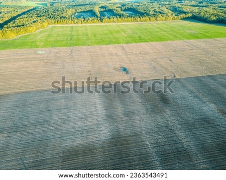 Top view of a young agricultural field. Aerial view of a beautiful plowed field during sunset. The season of sowing grain, wheat, cereals.