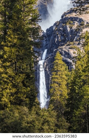 Yosemite Falls through the Trees, Yosemite National Park, California