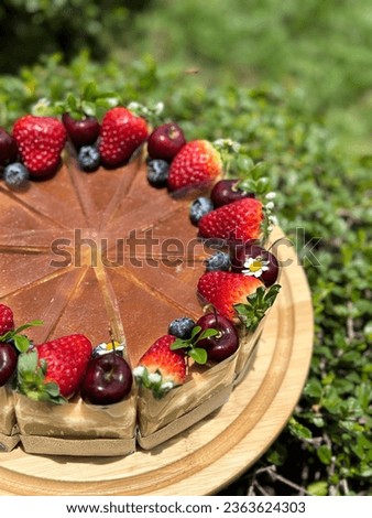 Delicious Mixed berry cream cheese cake. 
cheesecake on a wooden plate. Fresh  Strawberry, Blueberry, Cherry topping with white daisy flower and thyme leaves. Bakery picture free space for text.