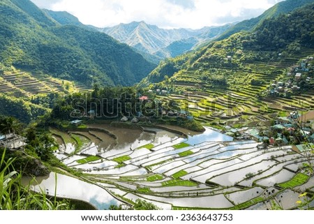 Batad rice terraces in Ifugao, Banaue, Philippines. Batad is a village situated among the Ifugao rice terraces. It is perhaps the best place to view this UNESCO World Heritage site. Royalty-Free Stock Photo #2363643753