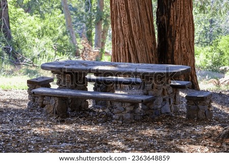 View of one of the rustic picnic tables at the Silvercrest Picnic Area at Palomar Mountain State Park, USA.