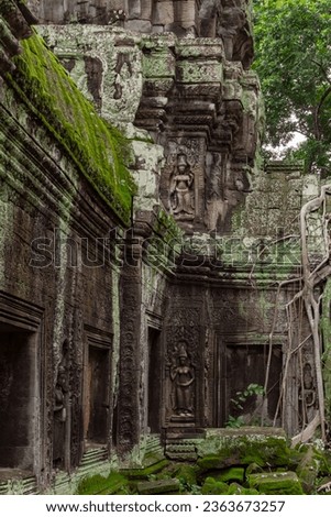 Green moss-covered stone building and bricks and growing tree roots at Ta Prohm Tomb Raider temple ruin complex. Angkor Wat historical site, Siem Reap, Cambodia Royalty-Free Stock Photo #2363673257