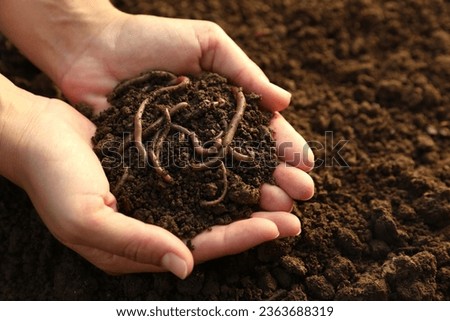 Woman holding soil with earthworms above ground, closeup. Space for text Royalty-Free Stock Photo #2363688319