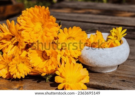 Calendula is homeopathic. Dried organic herbal medicinal calendula on a wooden table. Fresh calendula flowers in a mortar. Selective focus.