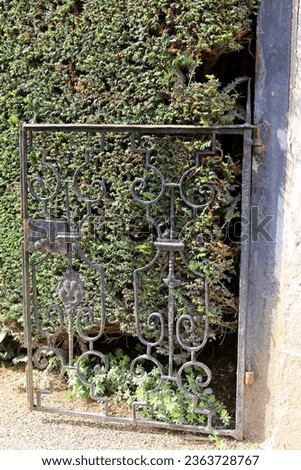 historical wrought iron garden gate in front of a yew hedge.