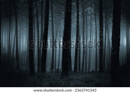 Spooky and dark foggy forest at dusk Royalty-Free Stock Photo #2363741343