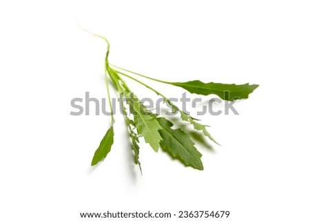 Arugula leaves isolated on a white background. Fresh leafy green vegetable. Leafy greens are packed with essential vitamins Royalty-Free Stock Photo #2363754679