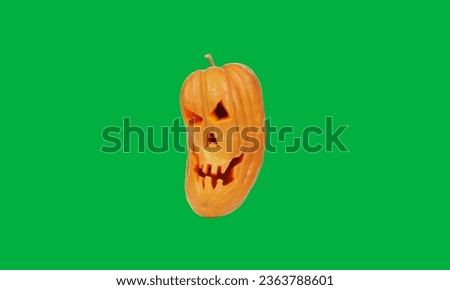 Halloween Pumpkin isolated on green screen. Jack O Lantern Halloween pumpkin.
