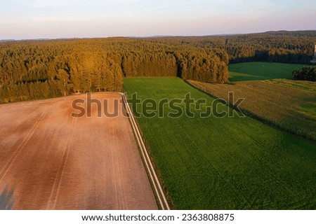 View from above of the forest in Franconian Switzerland - Germany in the warm evening light
