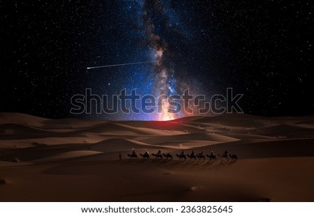 Camel caravan through the desert