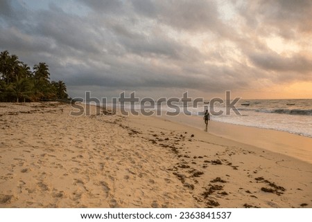 Paradise beach with white sand and palms. Diani Beach at Indian ocean surroundings of Mombasa, Kenya. Landscape photo exotic beach in Africa