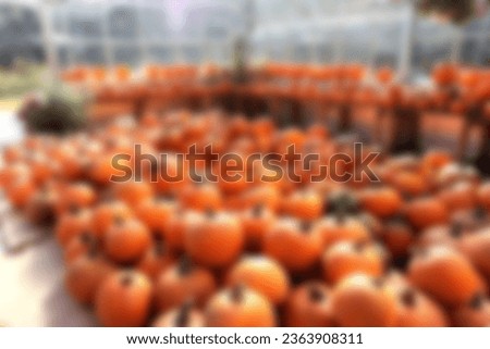 Defocus of a pile on orange, yellow, green pumpkin background on the farm during Autumn Season, Halloween day in October and Thanks givings.