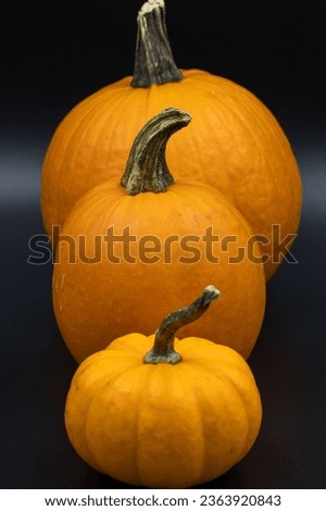 3 pumpkins in a row 