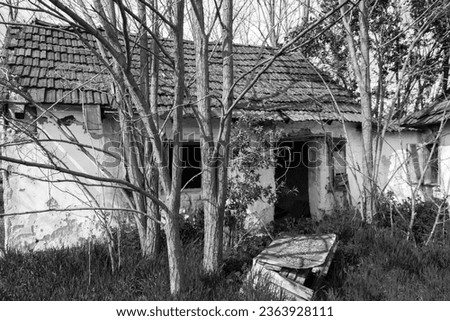 Ruined old homestead in South Hungary, near Morahalom Royalty-Free Stock Photo #2363928111