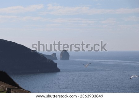 Flying seagulls above the sea with the rocks and cliffs at the background