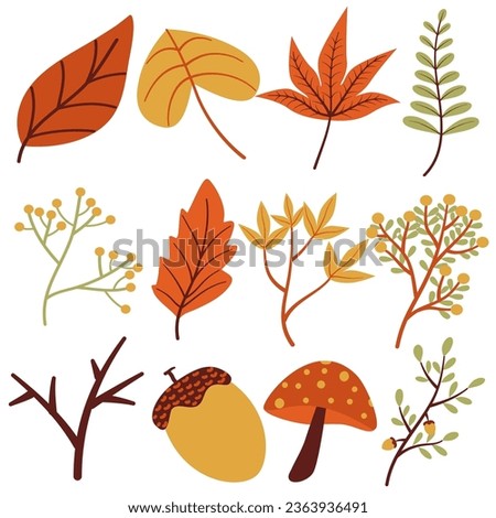 Set autumn season leaves illustration