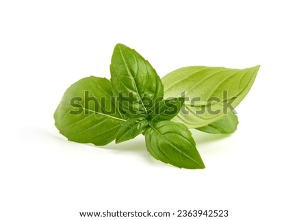 Sweet Basil leaves, fresh condiments, isolated on white background Royalty-Free Stock Photo #2363942523