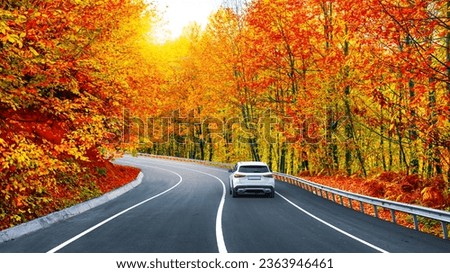 car driving in autumn landscape. colorful forest ride by car. panoramic road view. highway landscape in fall. Road landscape in mountains with trees in autumn season. Nature landscape on forest.