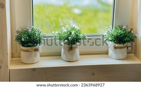 Nice plants in ceramic pots on wooden windowsill at country house. Home decorations, interior. 