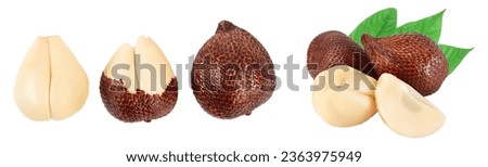 Salak snake fruit isolated on white background with full depth of field. Top view. Flat lay. Set or collection