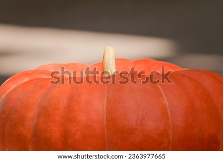 Large orange pumpkin on a dark background
