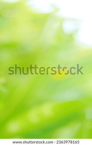 Green Leaf background. Blurred leaves and circular bokeh. Abstract wallpaper for backdrop and design