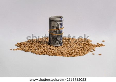 Wheat on a white background where there are dollars representing the economic crisis in Europe in terms of food.