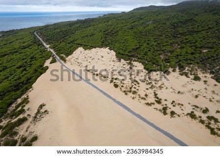 The road in the Duna de Valdevaqueros ( The Valdevaqueros Dune ) white sand dunes in Tarifa, Spain.