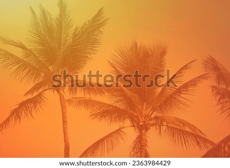 Coconut trees an golden sunset background 