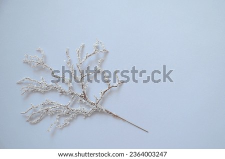 Winter blue background. Snowy branch. 