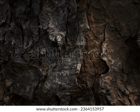 Macro photo, bark of a trunk and shadows