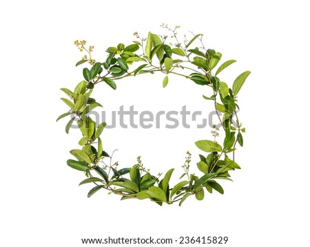wreath of creeper flower isolated on white background, alphabet floral