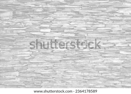 gray light slate stone background or texture and empty space. Horizontal shape with space for design. Web banner. Website header.