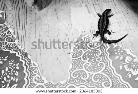 Black and white picture of a lizard on a piece of paper.