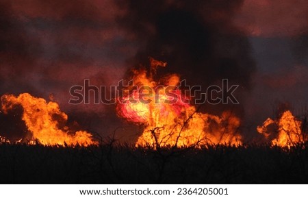 The village of Ivanovka (Crimea, Crimean peninsula) The rays of the sun break through the smoke of burning reeds on a field on the shore of a lake in the evening during sunset.