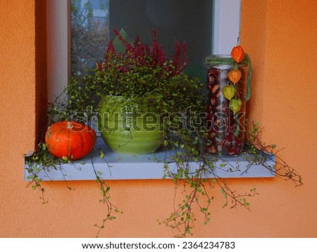 A beautiful arrangement on a window seal for Halloween or for creating an autumn feeling, made out of pumpkin, plants, flowers and chestnuts