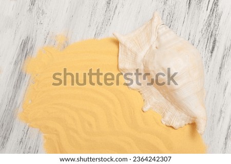 Abstract gray nautical background with starfish, shells and sand