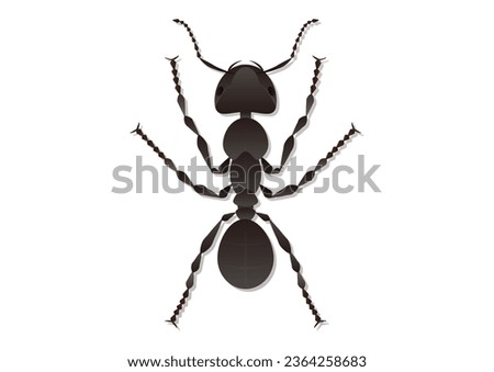 Ant Vector Art Isolated on White Background