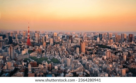 panoramic, tourist attractions in the city park of Tokyo, Asia business concept image, panoramic modern cityscape building in Japan.  