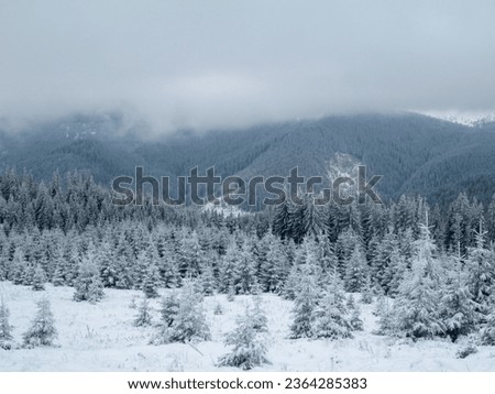 Winter landscape in the mountains of the Carpathians, Alps and Himalayas             
