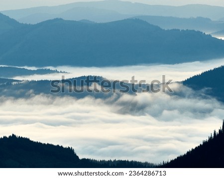 Morning valley with forest and fog view from up. Discover the beauty of earth. Landscape with alpine mountain valley, low clouds, forest at sunrise, blue hour.