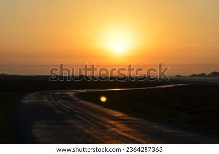 Golden Sunrise over Curvy Country Road