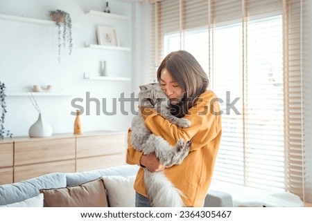 Happy young asian woman hugging cute grey persian cat on couch in living room at home, Adorable domestic pet concept. Royalty-Free Stock Photo #2364305467
