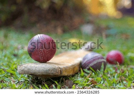 Cricket ball and cricket bat placed on glass floor with grass background. Soft and selective focus.                               